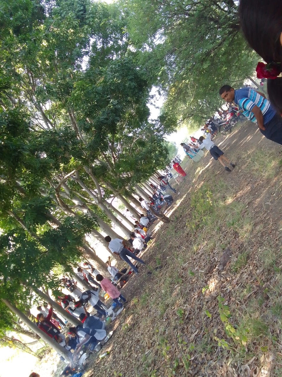 School Activity